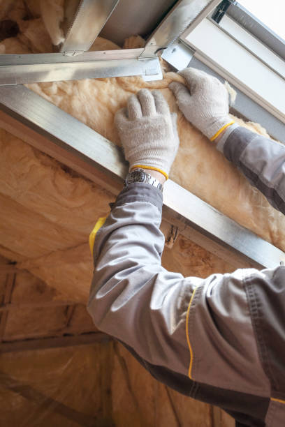 Best Basement Insulation  in Blue Ash, OH